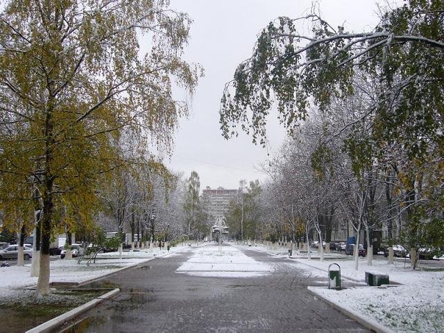 На центральной аллее