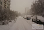 Снежная буря в Московском регионе