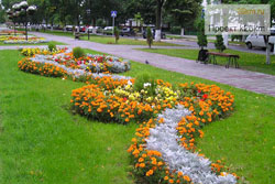 Клумбы Московского украсят около 80 тысяч цветов