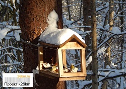 Покорми зимующих птиц в Московском