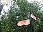 Прошло торжественное открытие парка в Московском