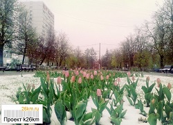 Холодные праздники в Москве