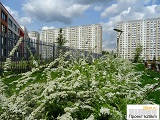 Прогулка по Московскому: фото-впечатления от весеннего города