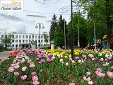Прогулка по Московскому: фото-впечатления от весеннего города