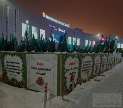 В Московском заработал ёлочный базар