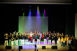 В ДК прошёл отчётный концерт творческих коллективов
