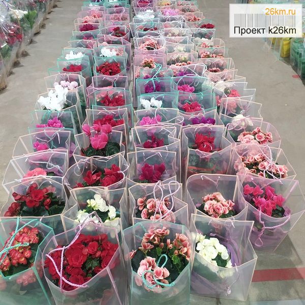 Стоимость цветов к 8 марта в Московском